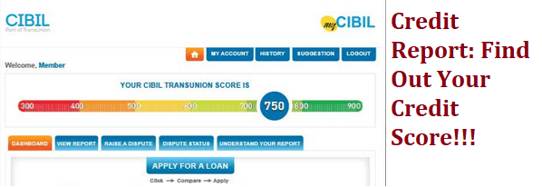 Credit Information Bureau India Limited (CIBIL)